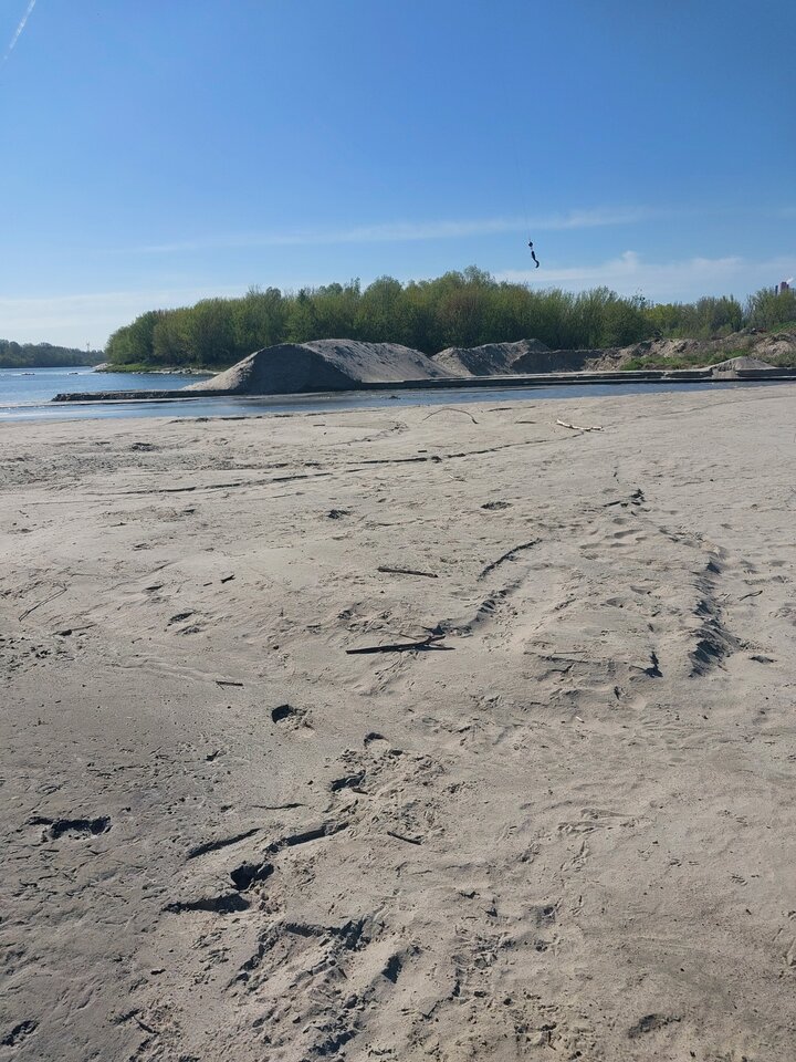 20260421_094229.jpg - Chiroptera1962