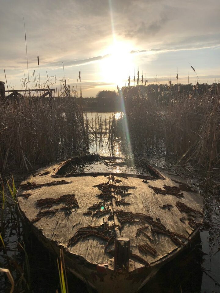 2026-03-28  - rozwodnik1981