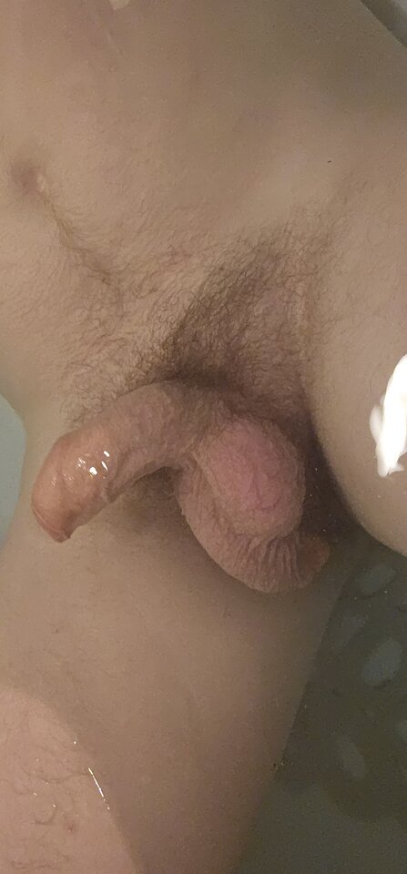 🥚🥒🥚 - VegoBi