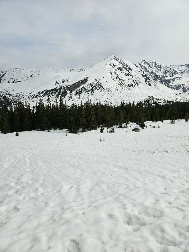 1000019451.jpg - ZakazanaStrefa