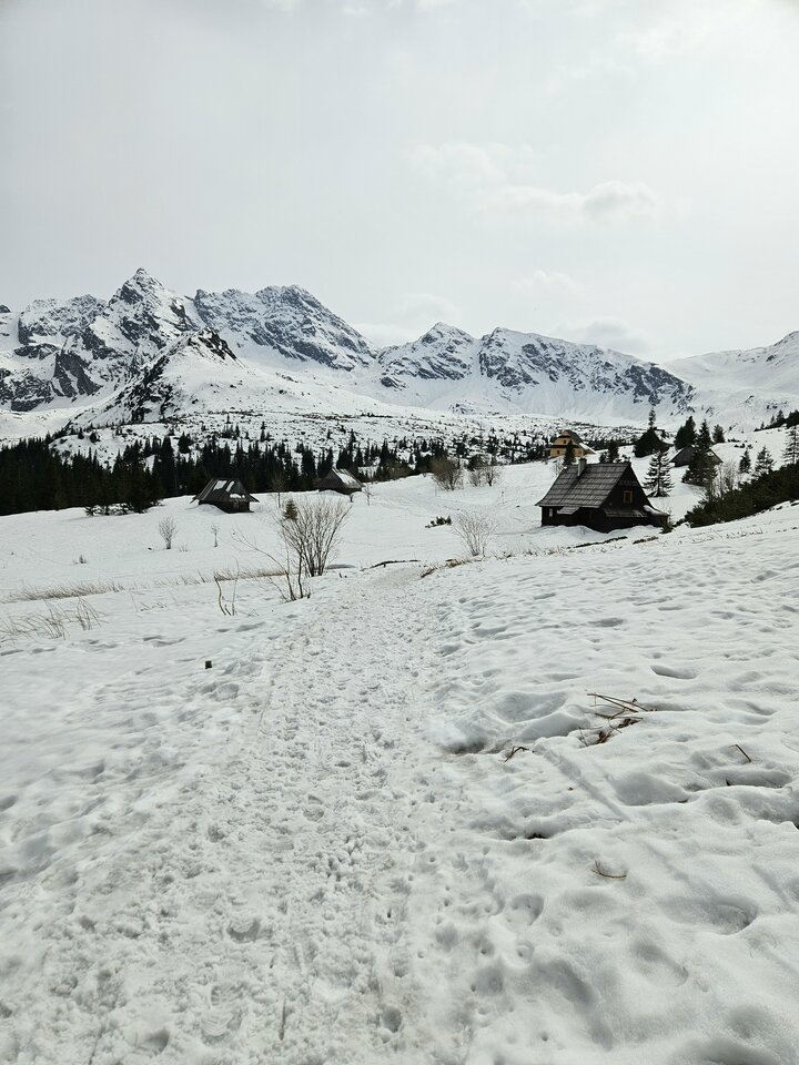 1000019449.jpg - ZakazanaStrefa