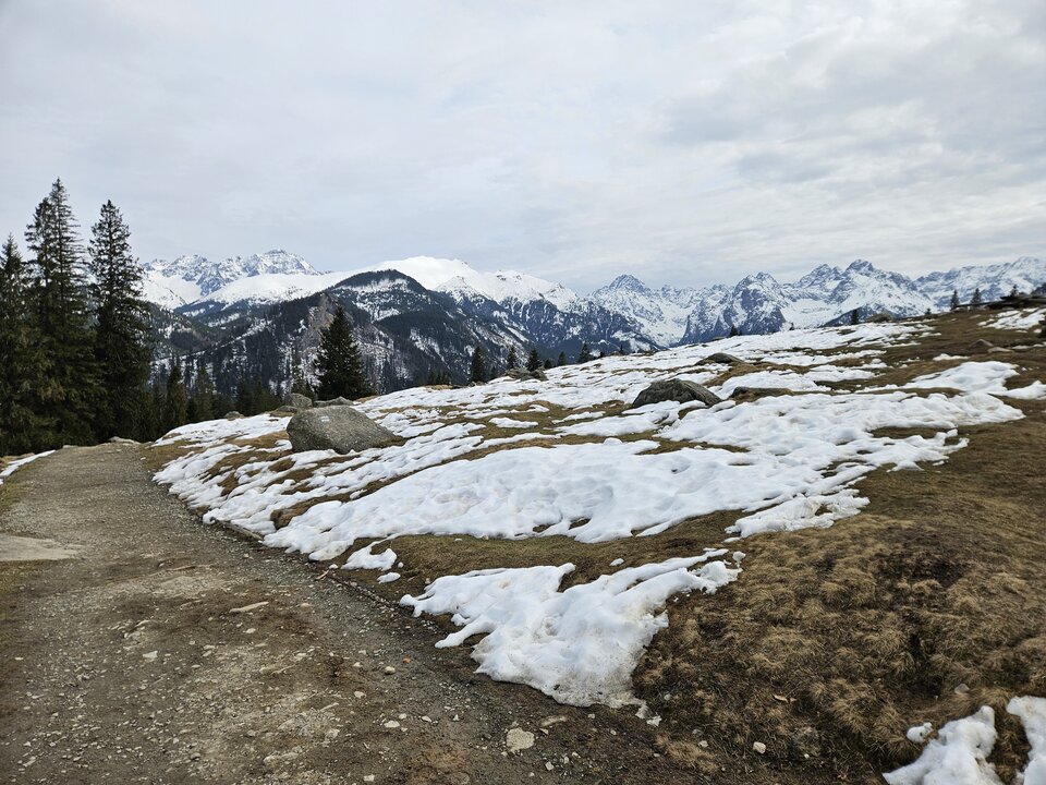 1000019359.jpg - ZakazanaStrefa