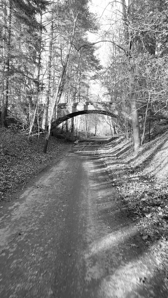 1000020547.jpg - dino8