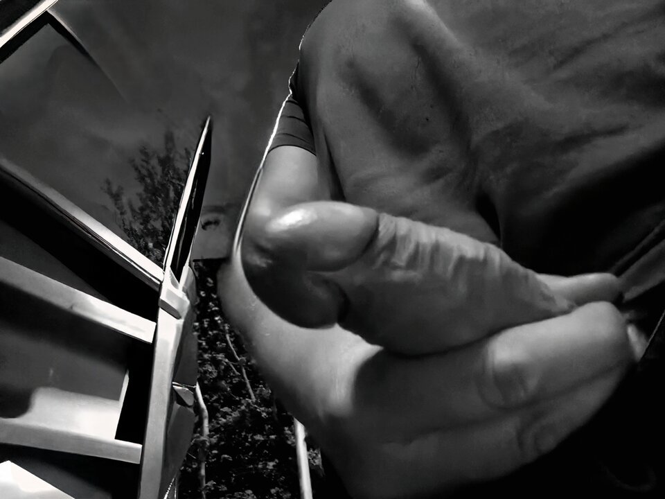 1000028075.jpg - Lotosikx99xx