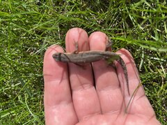 Czy dobrze leży w dłoni🤔