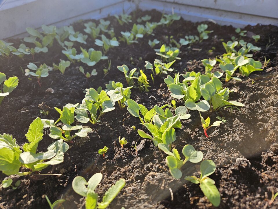 1000037959.jpg - una00