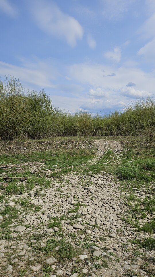 1000054560.jpg - nowytomas