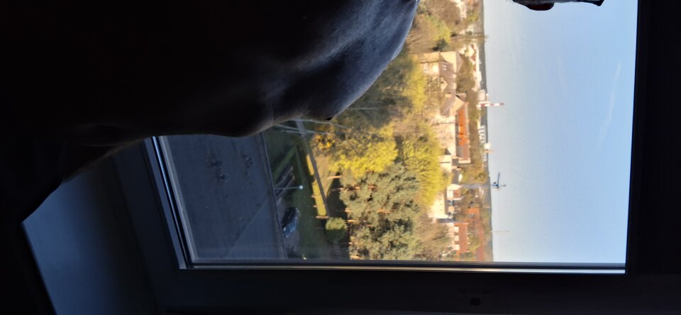 1000019307.jpg - my8484my