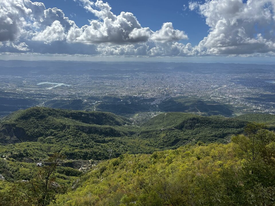 98ecab37-0e39-4402-bbe1-c5deb67e6bea-1_all_325.jpg - Wallyholy