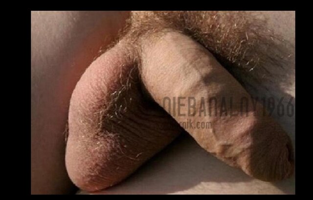 Zrzut ekranu_22-4-2026_193952_zbiornik.com.jpeg - 55Maks