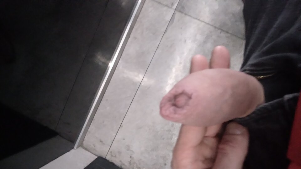 20260422_183359.jpg - KONKRETNY19866