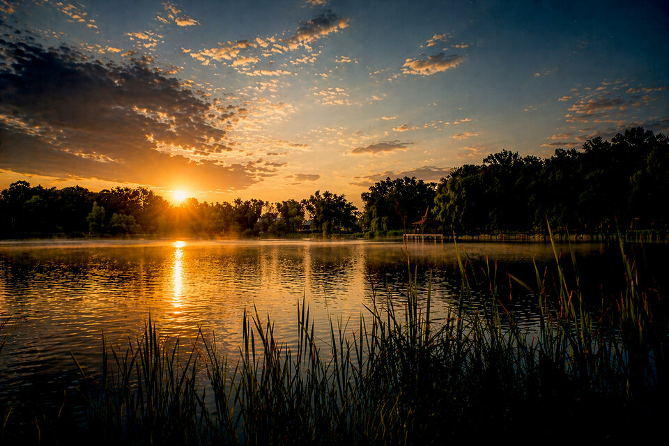 DSC08765.jpg - Roscoo