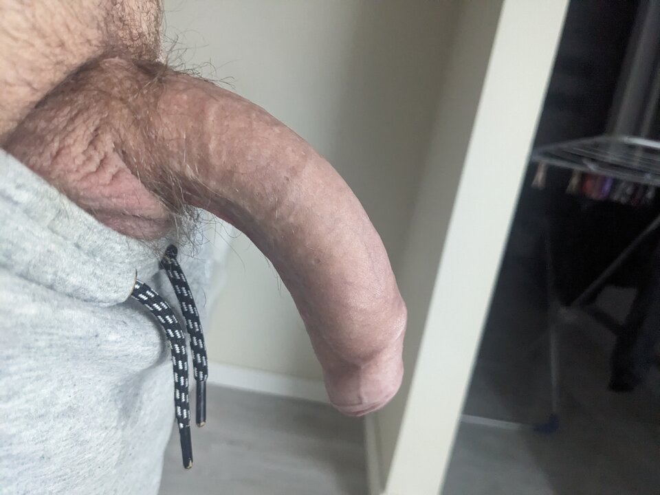 708b5f5c-8b5b-4a39-b739-9f790e671481-1_all_526.jpg - prugs