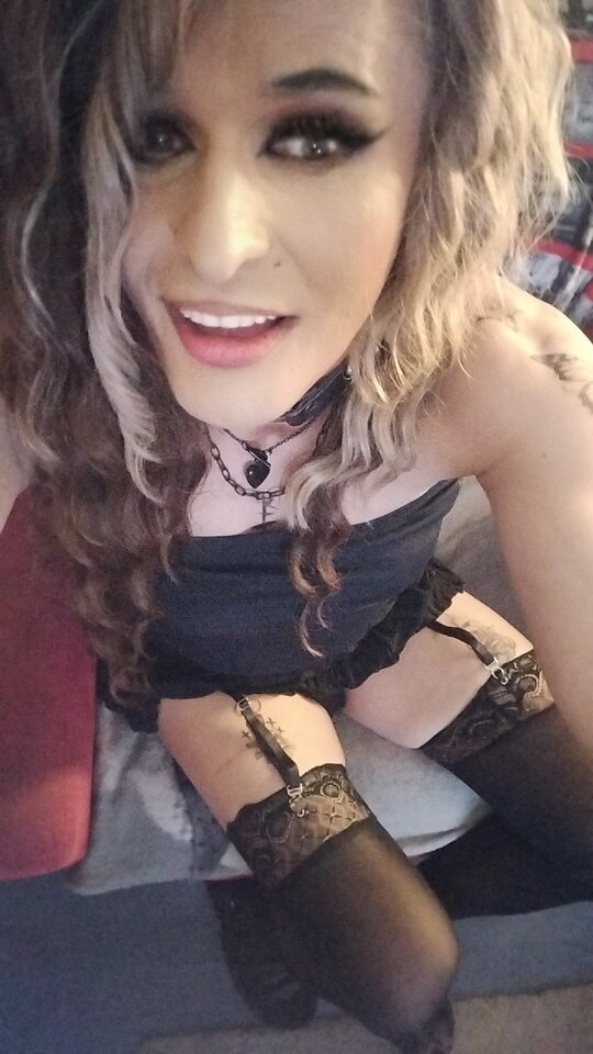 1000017756.jpg - TransKitty