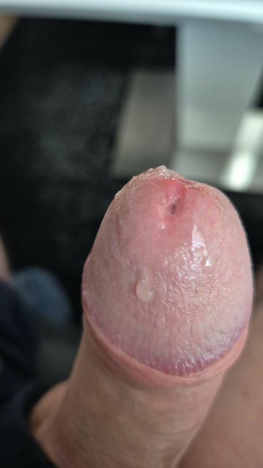 IMG-20260423-WA0019.jpeg - gepar1234