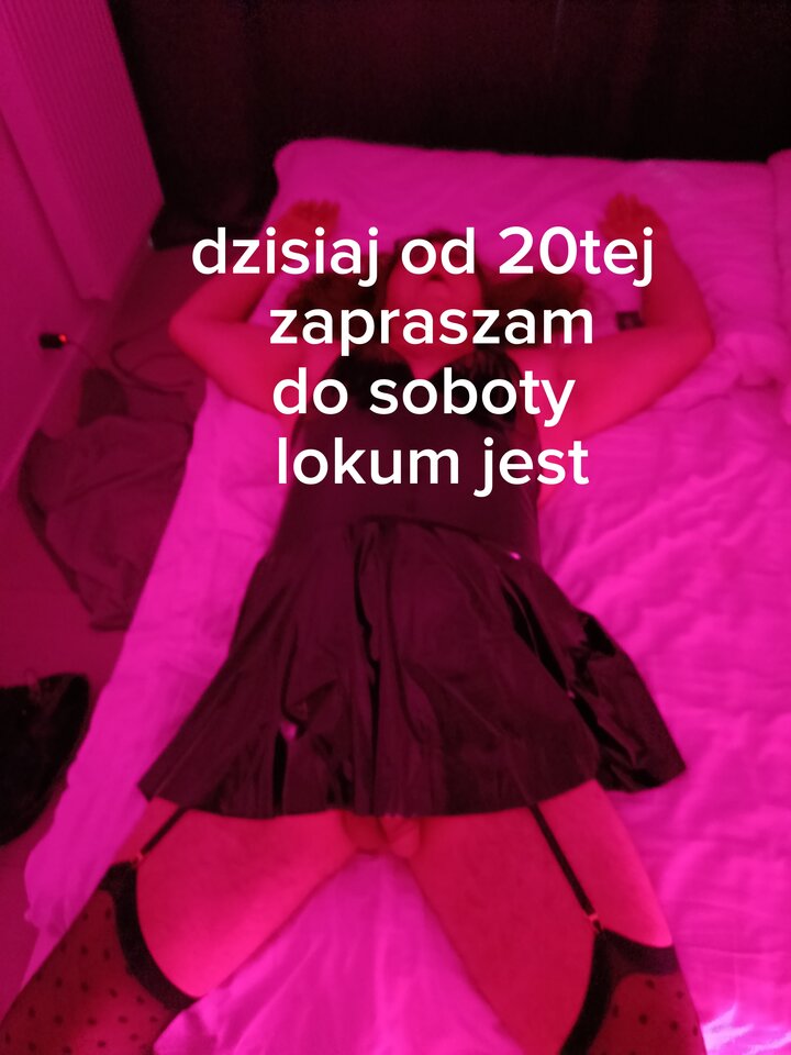 3493.jpg - trans4fun