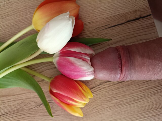 dawcarozkoszy84sprawdzto