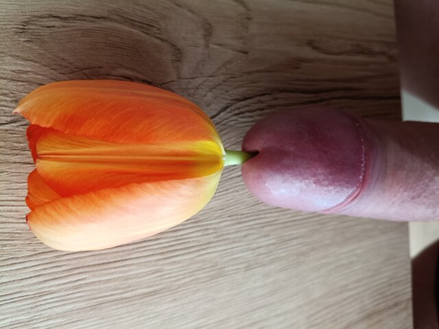 dawcarozkoszy84sprawdzto