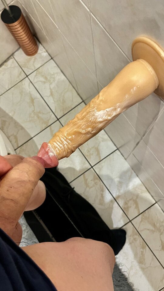 IMG_3445.jpeg - MarekAntoniusz12