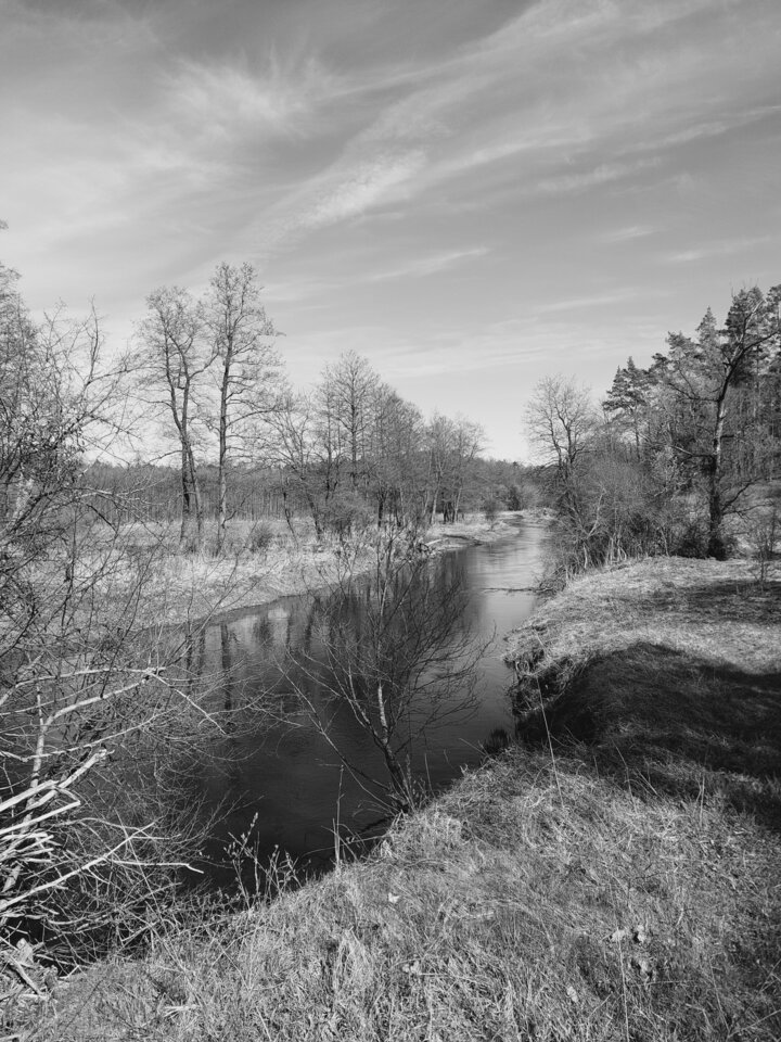 1000020739.jpg - dino8