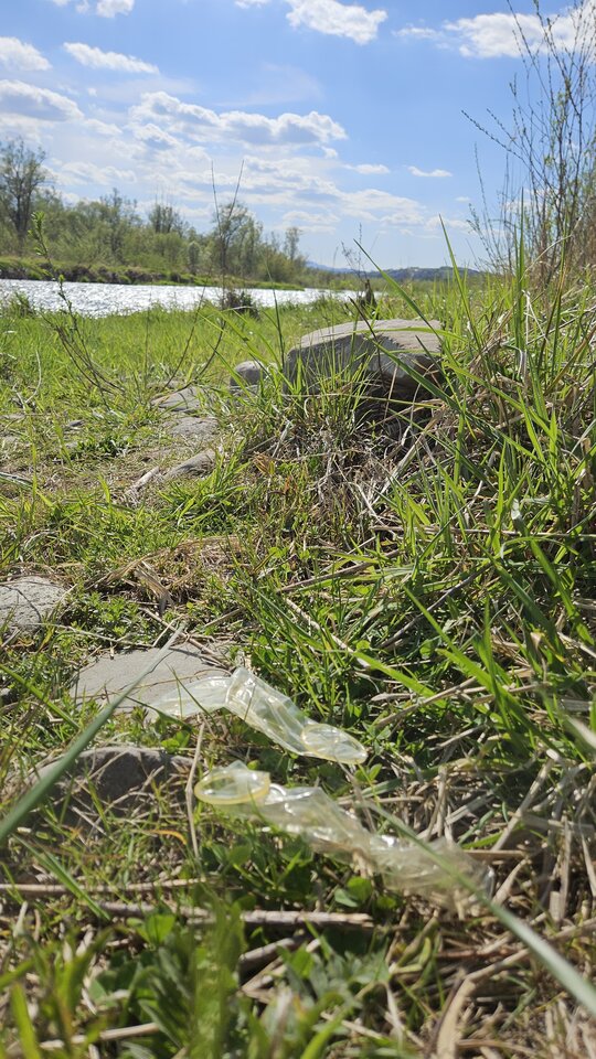 1000054822.jpg - nowytomas