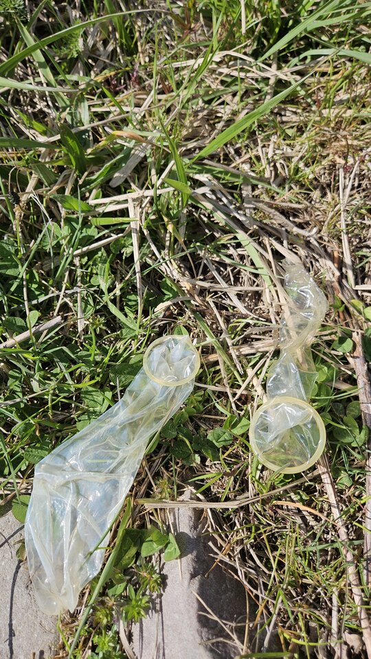 1000054824.jpg - nowytomas