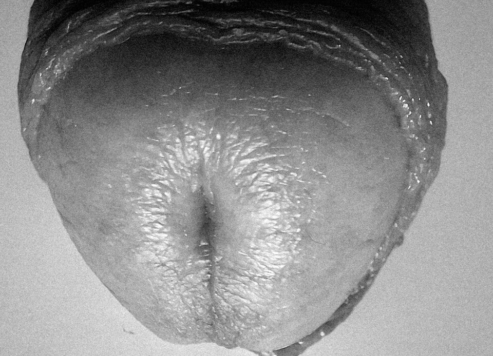 1000019466.jpg - Wuen