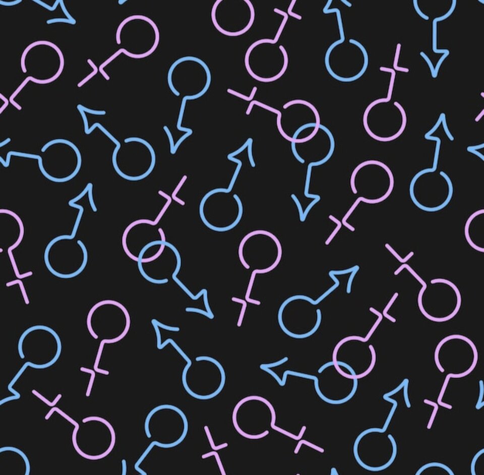 1000015450.jpg - Longvibration