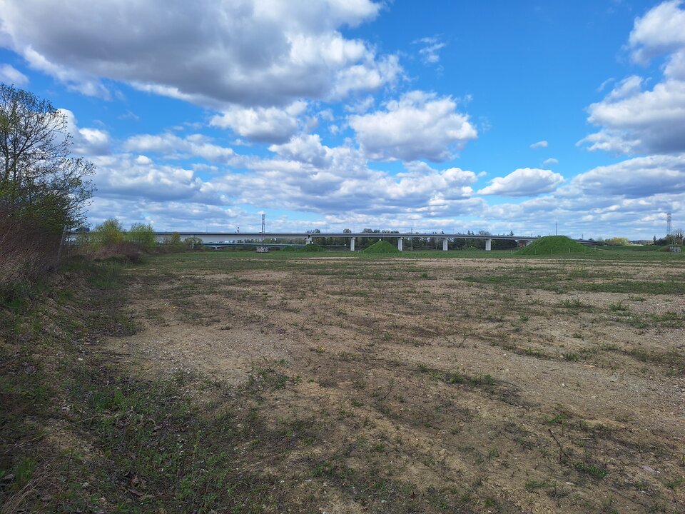 1000018656.jpg - Szybki6861126