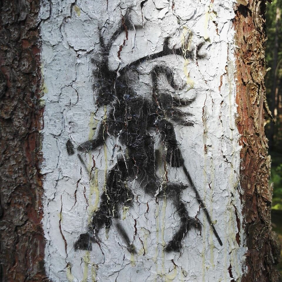 kark.jpg - B_Instintio