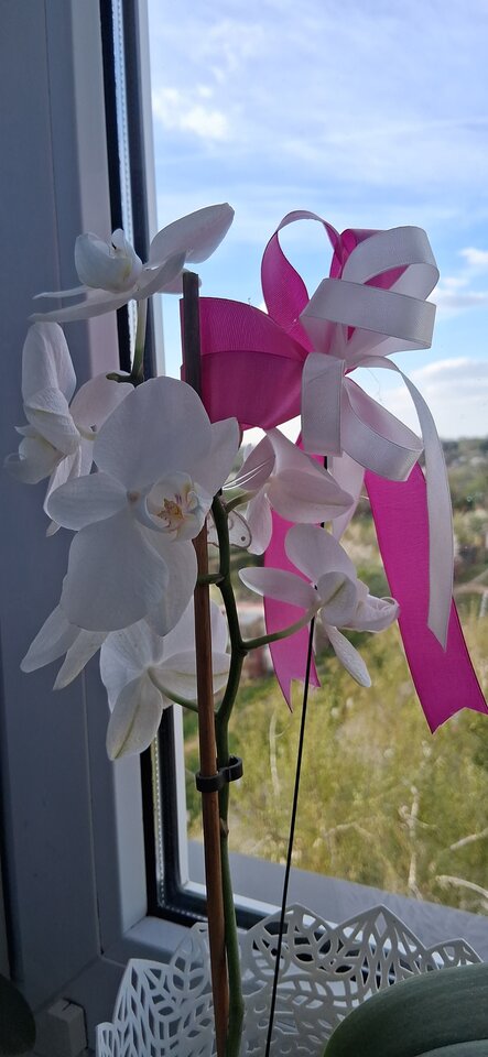 20260423_180344.jpg - Galll84