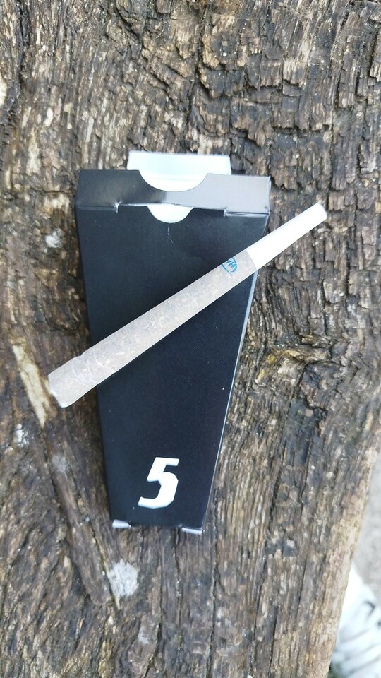 1000014164.jpg - DieselPowerEngine