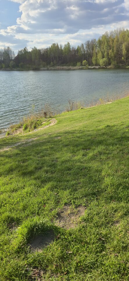 20260423_174537.jpg - MilyPawel6969