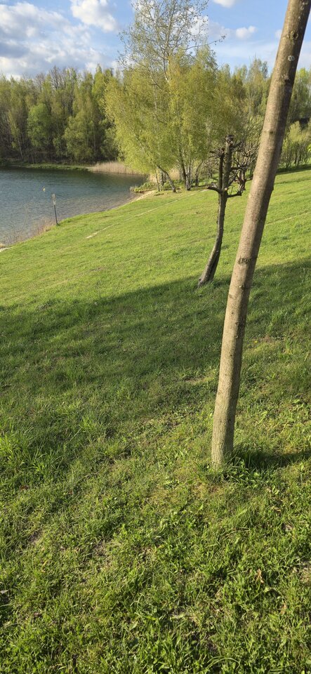 20260423_174541.jpg - MilyPawel6969