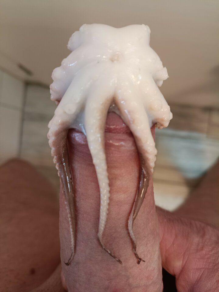 256.jpg - dawcarozkoszy84sprawdzto