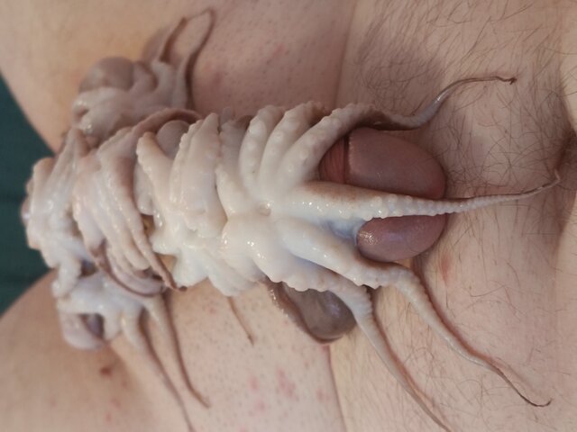 dawcarozkoszy84sprawdzto