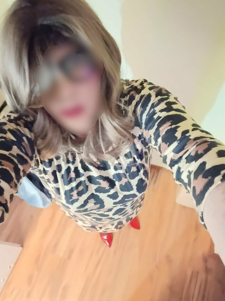 3611.jpg - trans4fun