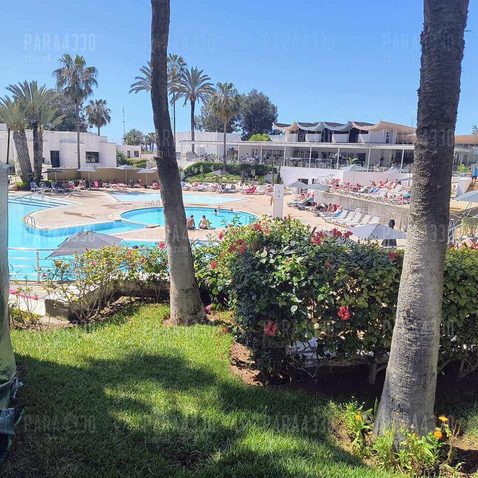 🌞🌞🌞🌞🌞🌞🌞🌞 - para4330